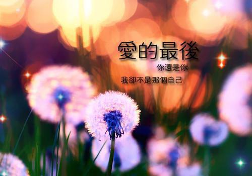 有关天空的诗歌