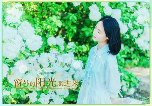 精选读书报告模板