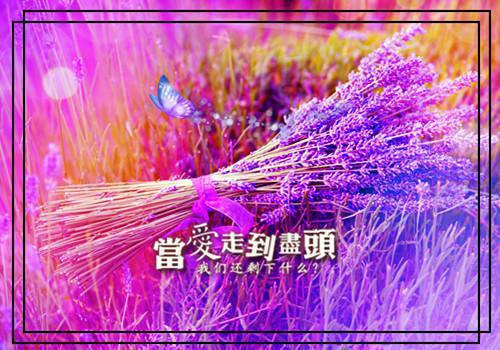 抗日战争的革命故事