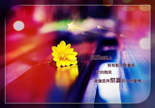 以我对成功的看法为话题的作文
