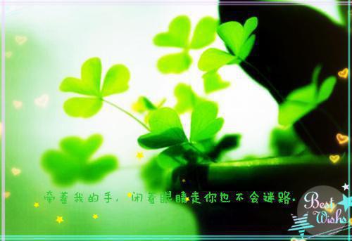 蓝清心兽世完整版免费阅读蓝清心司寒夜