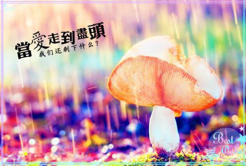 在家举办新年演唱会