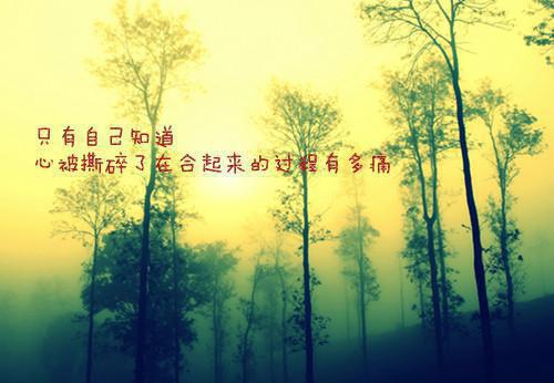 许萱萱陆媛小说全文免费阅读（许萱萱陆媛）小说全文免费阅读无弹窗_（许萱萱陆媛）许萱萱陆媛小说全文免费阅读最新章节列表笔趣阁（富女调包）