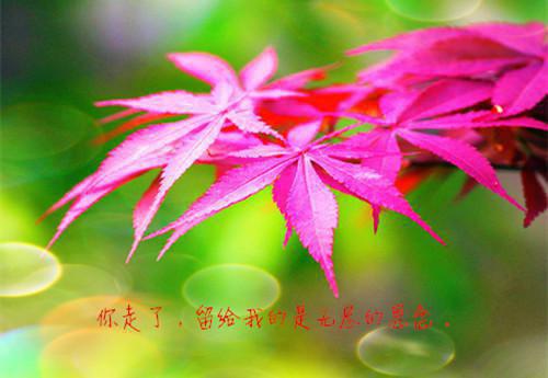 三下乡暑期实践活动总结范文【三篇】