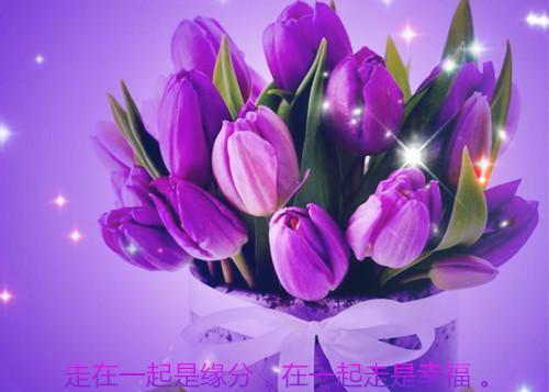 九月优美散文
