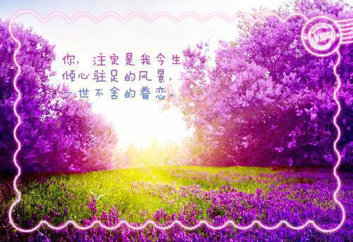关于读书的方法的名言