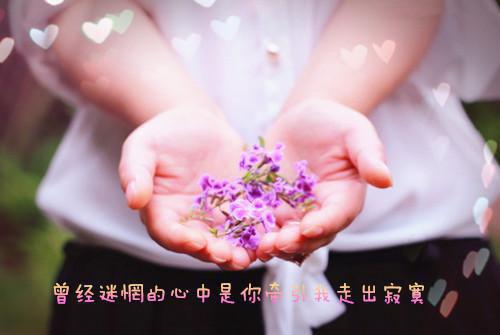 简短的新婚祝福语大全