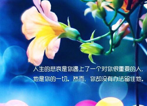 幸福生活的名言
