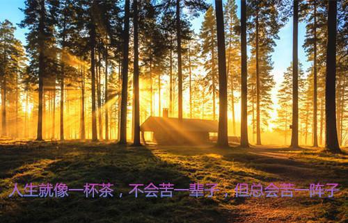 人生感悟类句子8篇