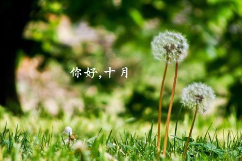 五年级读书名言