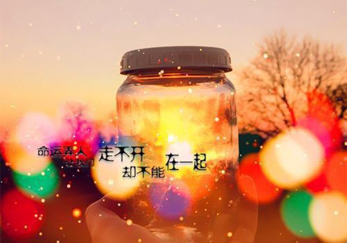 移动公司客服人员个人辞职报告