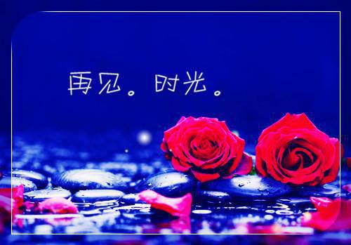 市林业局年终工作总结