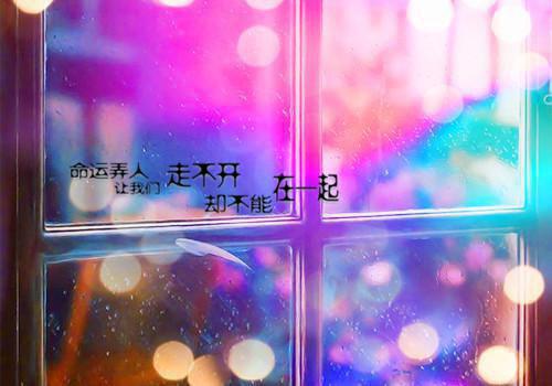 行政专业实习报告