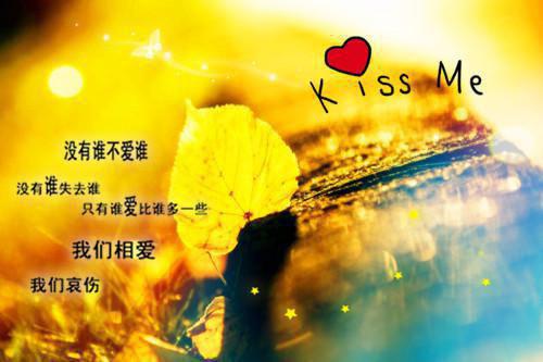 高中物理教学工作总结