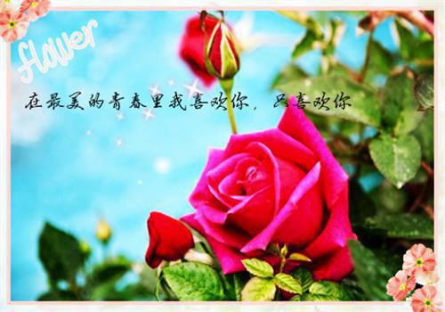 学模特减肥秘诀