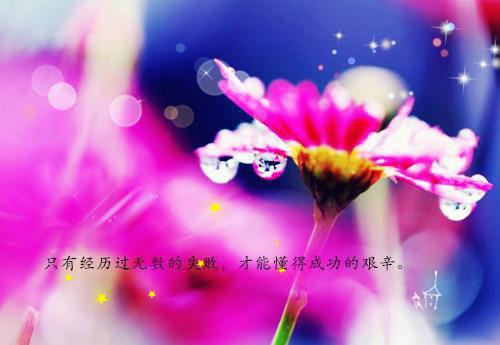 电影《不二神探》经典台词