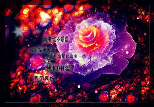 大学生个人实习报告