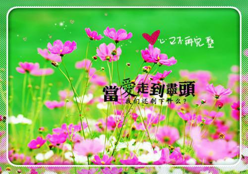 邮政营业员个人工作总结