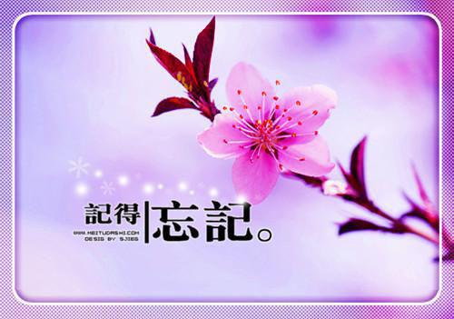 简单员工辞职报告模板