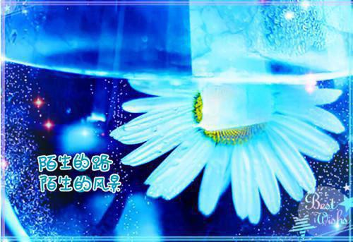 正能量简短小故事【四篇】
