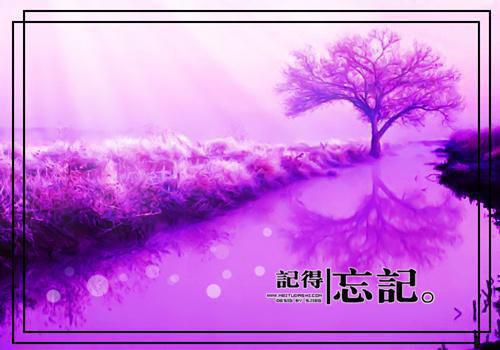 一句话人生感悟经典句子
