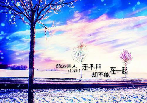 安静的香椿树