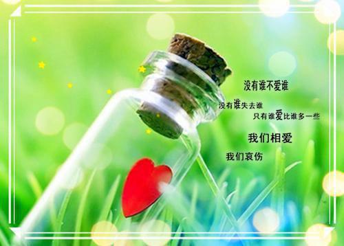 【新书】《红水收养小说》沈琬宁沈琬容全文全章节免费沈琬宁沈琬容读