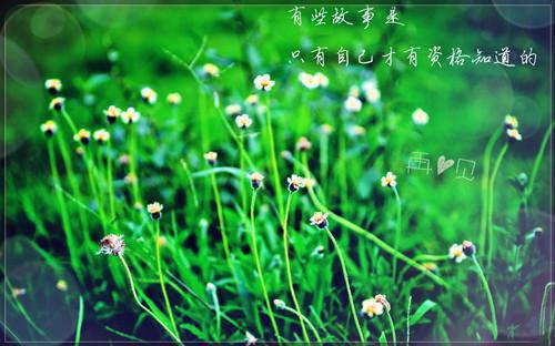 回到单庄