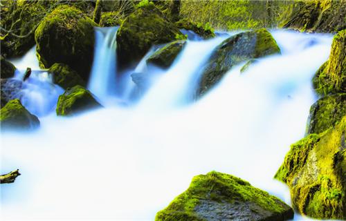 四季雨天随笔