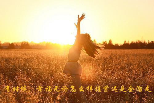 中国农业银行担保借款合同