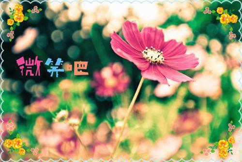 离开保险公司的优秀辞职报告范文