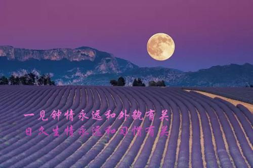 一句赞美春天的句子赞美春天的一句话
