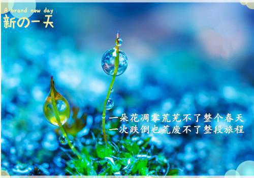 感恩朋友的散文