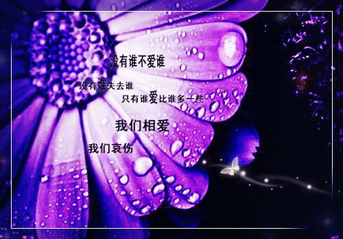 绥江，我美丽的家乡