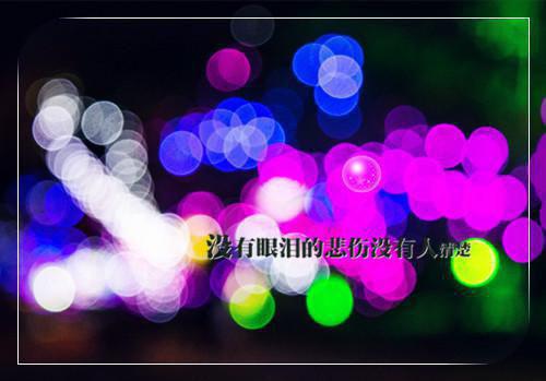 金丝雀下岗手册爱恨纠葛全文阅读（周淮序林芷瑶）最新章节_金丝雀下岗手册爱恨纠葛全文阅读