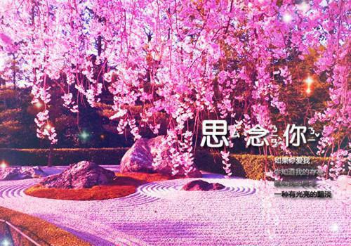 【推荐】毕业实习报告锦集九篇