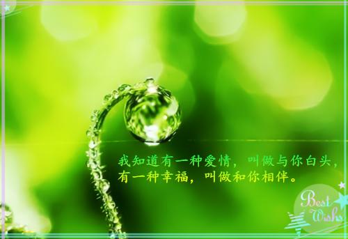 关于结婚的祝福语短信
