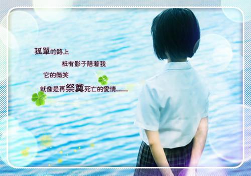 咏物诗——《花影》