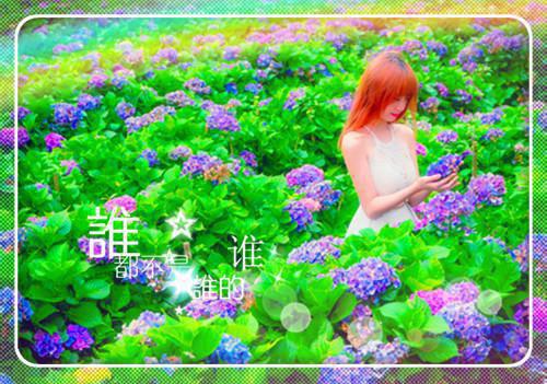 预备党员三季度思想汇报