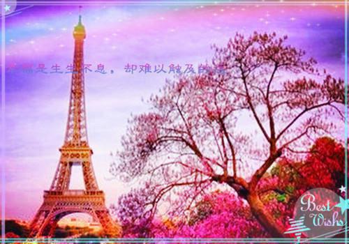 雷锋的名言名句