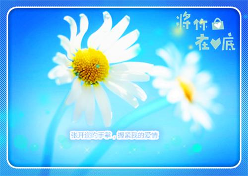 关于雪的诗句——《南秦雪》