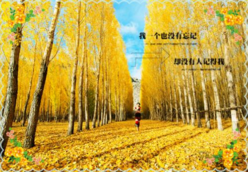 感悟人生的经典句子：相逢即美好