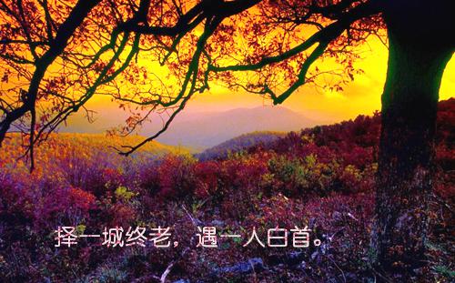 2023年9月学生会干部辞职报告