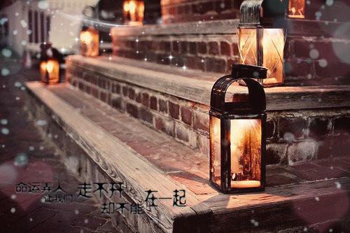 物流实习自我鉴定周记