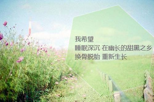 企业家的经典励志语录