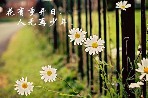 教研年终工作总结