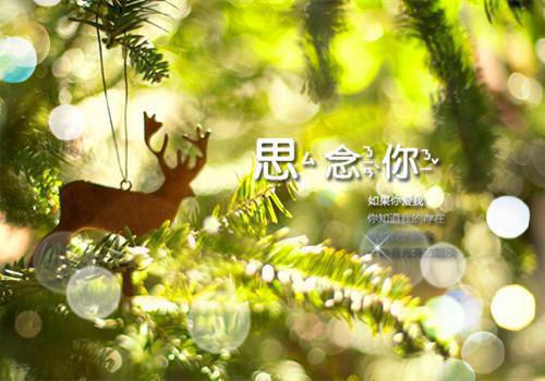 新员工辞职报告