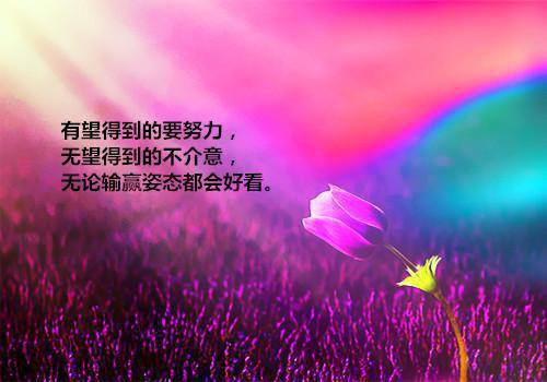 关于会计辞职报告模板集合6篇