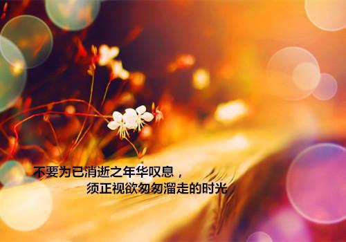 教育培训辞职报告