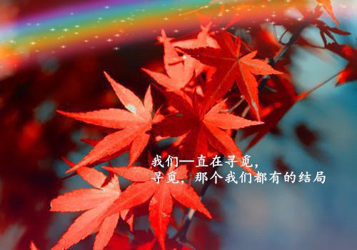 感悟人生的经典句子：生如夏花